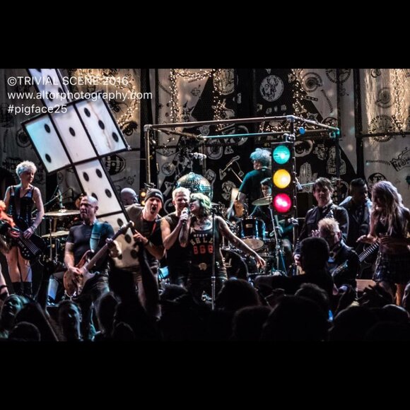 PIGFACE 25th Anniversary Reunion Shirt Black RARE Limited Industrial 2016 M/L - Picture 2 of 4